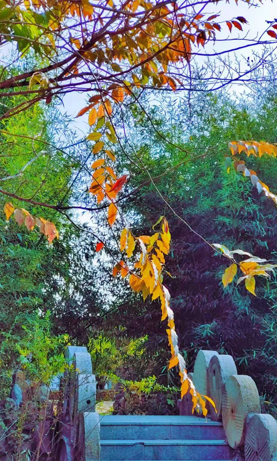 微信图片_2025-09-27_090840_025.jpg
