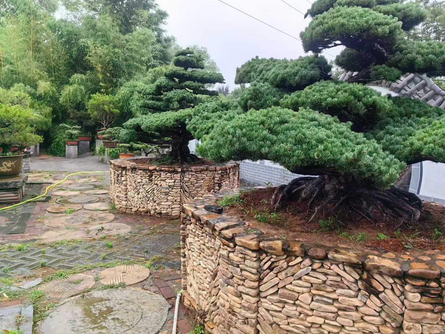微信图片_2025-09-27_091228_321.jpg
