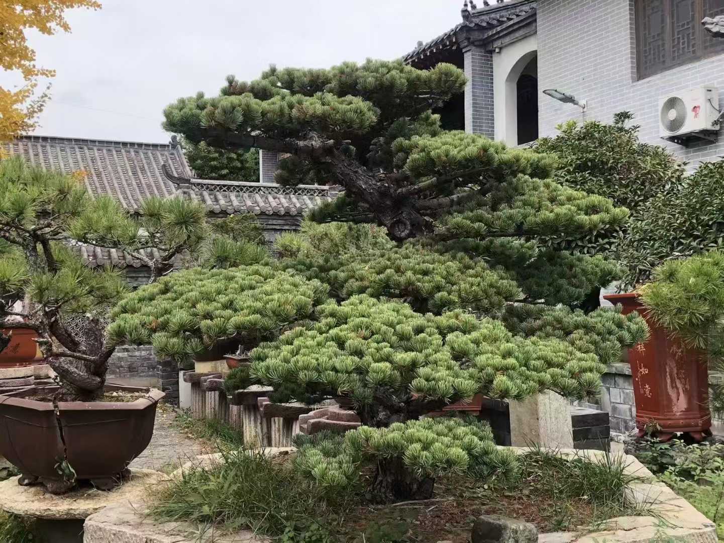 微信图片_2025-09-27_091306_625.jpg