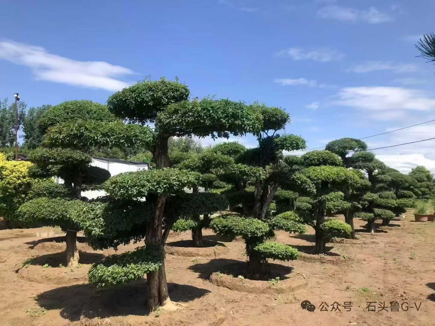 微信图片_2025-09-27_091339_993.jpg