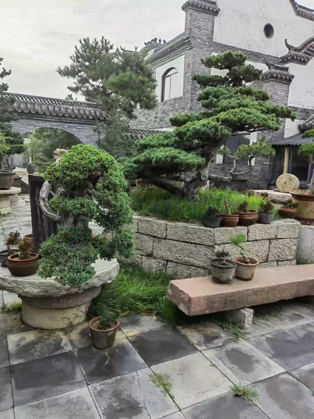 微信图片_2025-09-27_091308_506.jpg