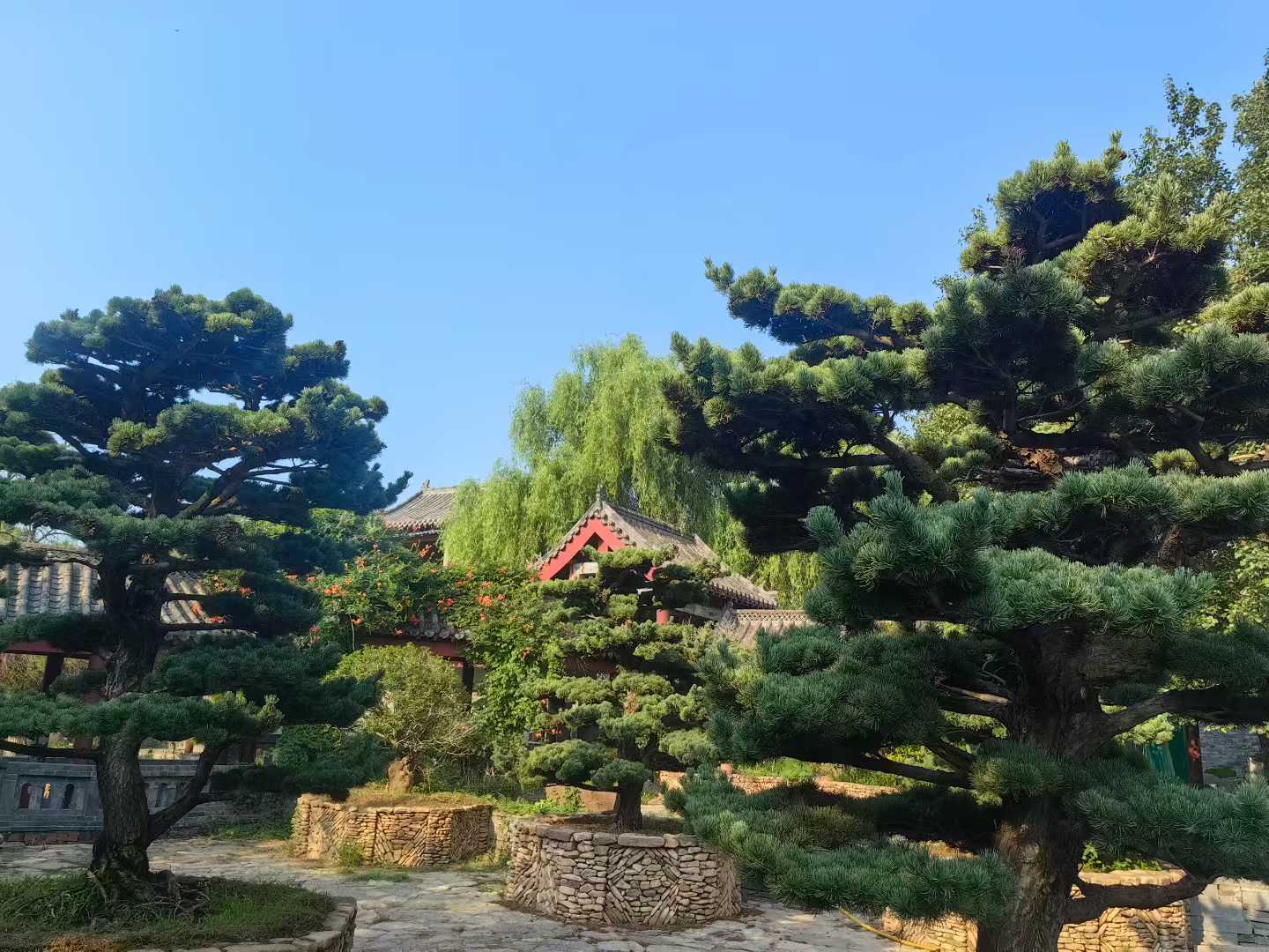 微信图片_2025-09-27_091443_882.jpg