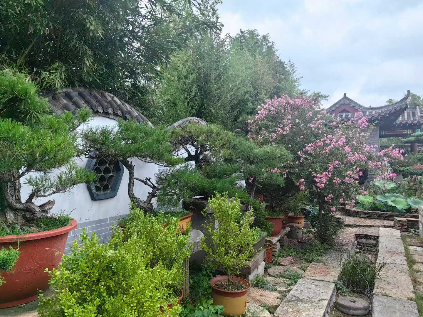 微信图片_2025-09-27_091640_674.jpg