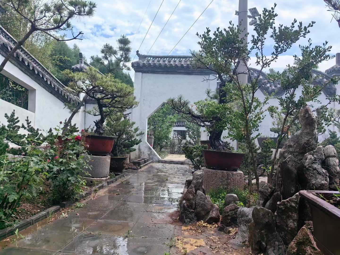 微信图片_2025-09-27_091722_041.jpg