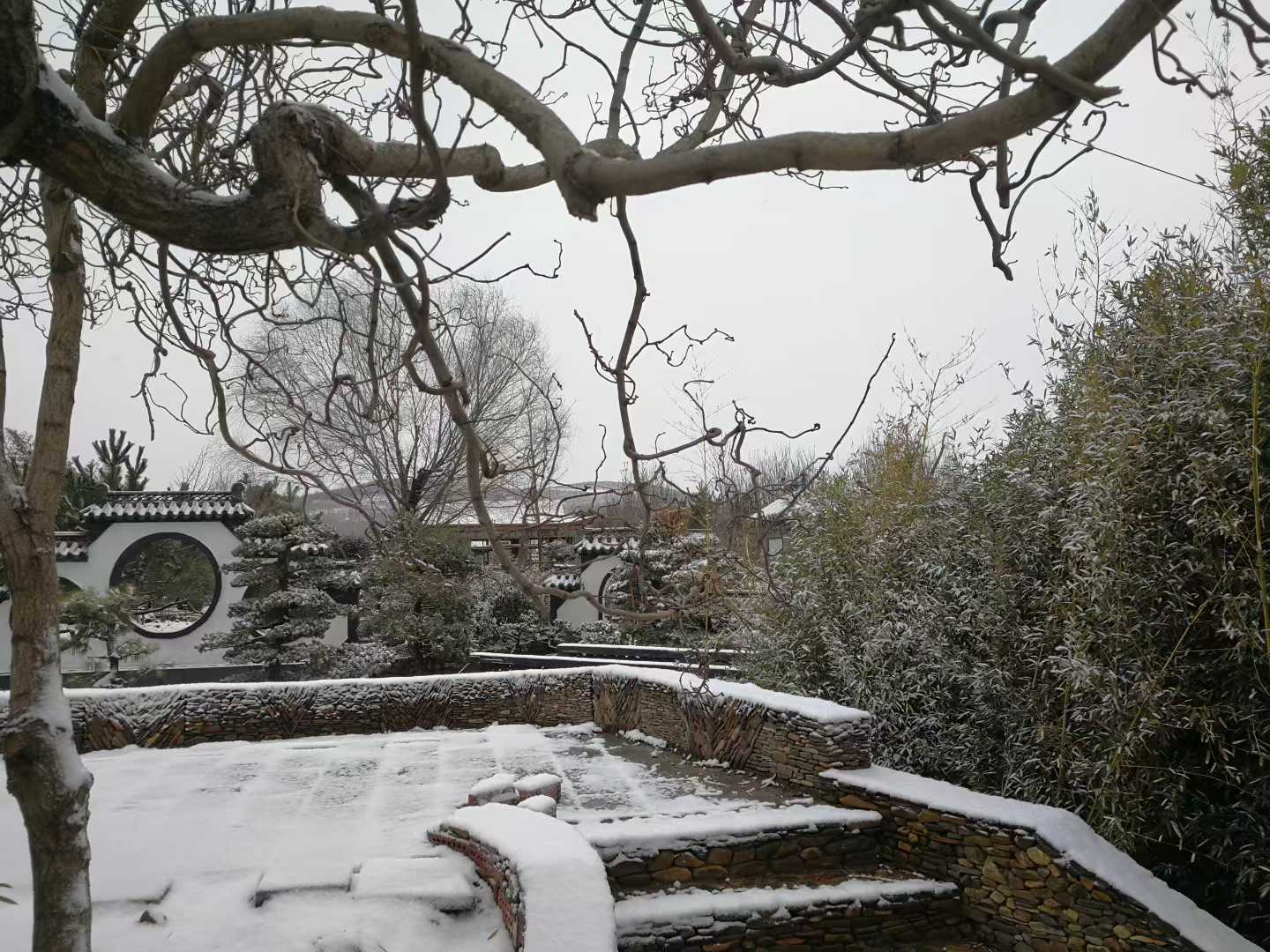 微信图片_2025-12-14_205610_120.jpg