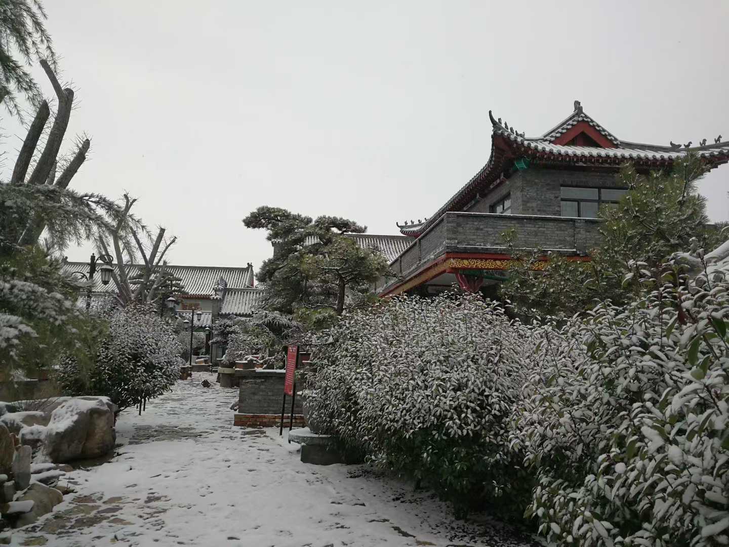 微信图片_2025-12-14_205605_552.jpg