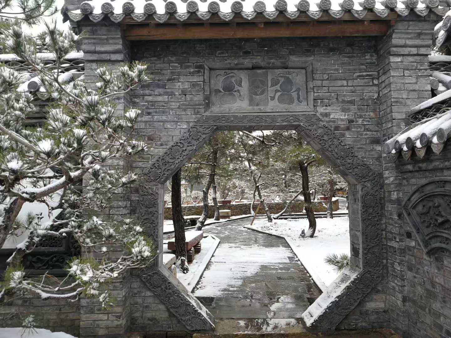 微信图片_2025-12-14_205557_734.jpg