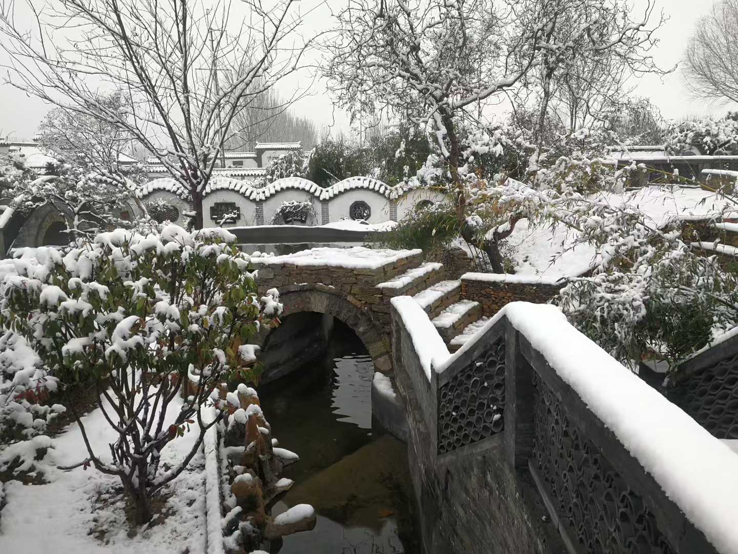 微信图片_2025-12-14_205631_652.jpg